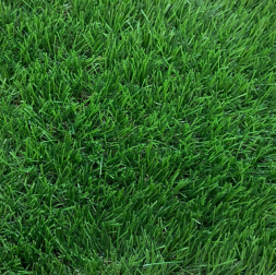Linear Mtr Grass Martinique 40mm (5m Wide)